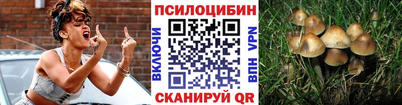 Псилоцибиновые грибы GOLDEN TEACHER  Купить где  Лермонтов 